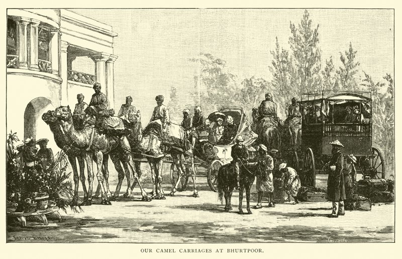 Nuestros carruajes de camellos en Bhurtpoor de American School