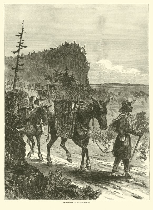 Mulas de carga en las montañas, febrero de 1863 de American School