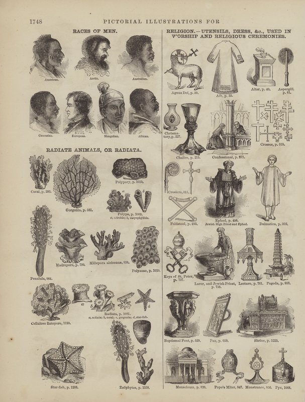 Página del Diccionario Completo de Webster (George Bell) de American School