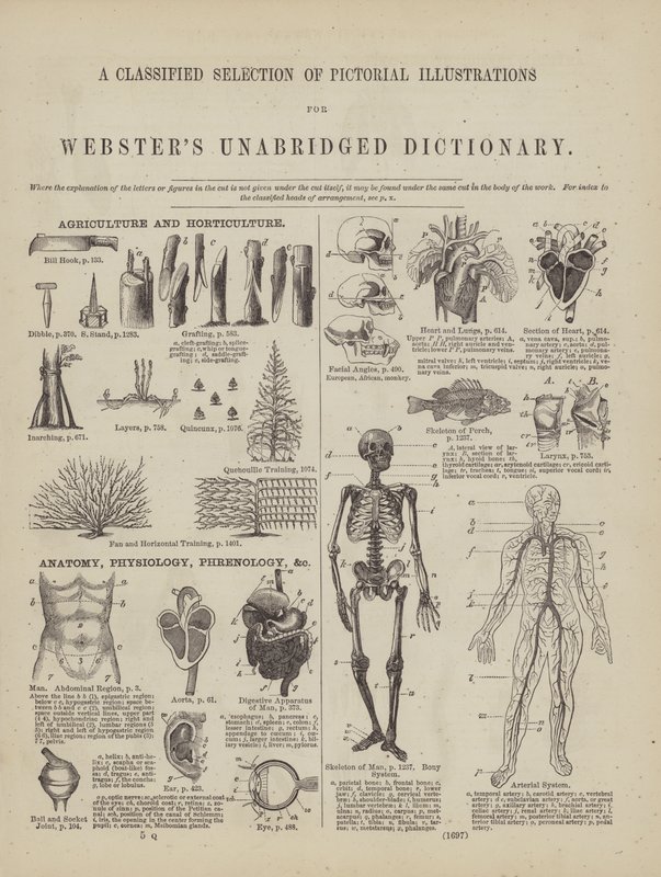 Página del Diccionario Completo de Webster (George Bell) de American School