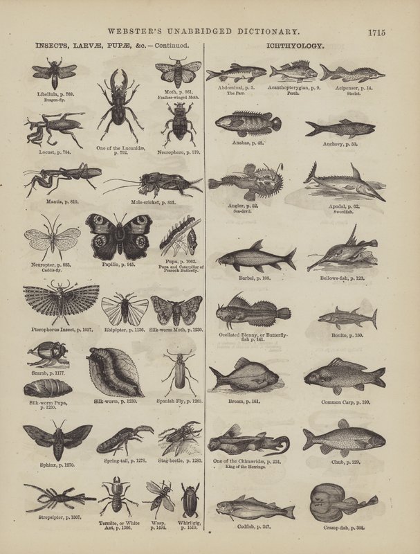 Página del Diccionario Completo de Webster (George Bell) de American School