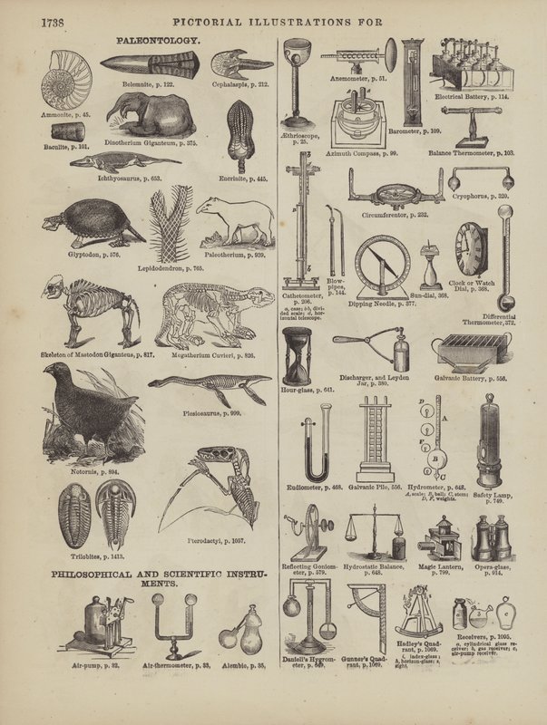 Página del Diccionario Completo de Webster (George Bell) de American School