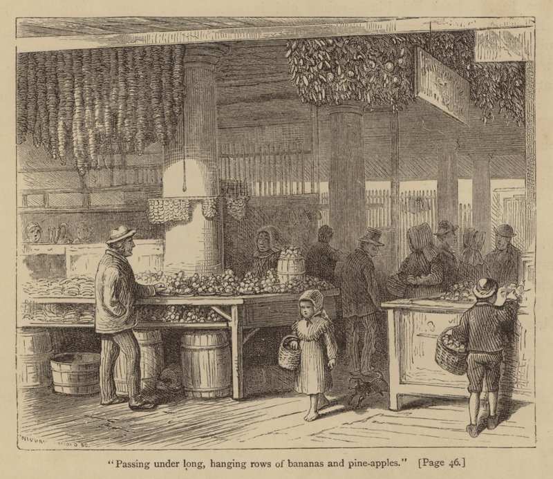 "Pasando bajo largas y colgantes hileras de plátanos y piñas" (grabado) de American School