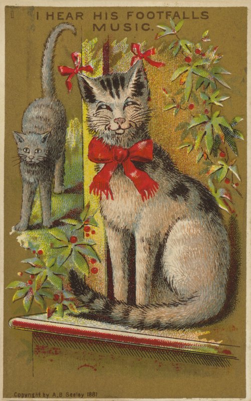 Gato Orgulloso y Sonriente de American School