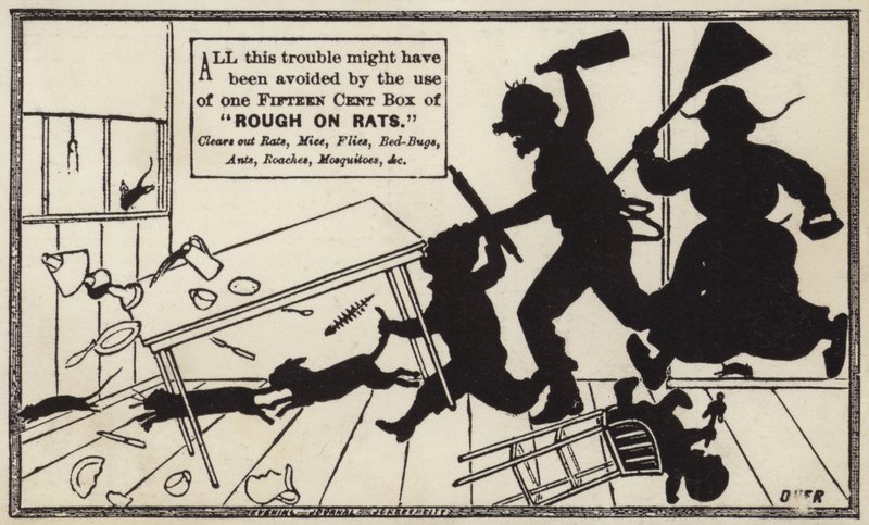 Rough On Rats de American School