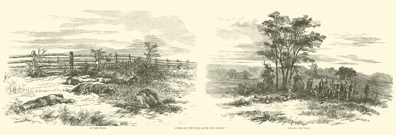 Escenas en el campo después de la batalla, septiembre 1862 de American School