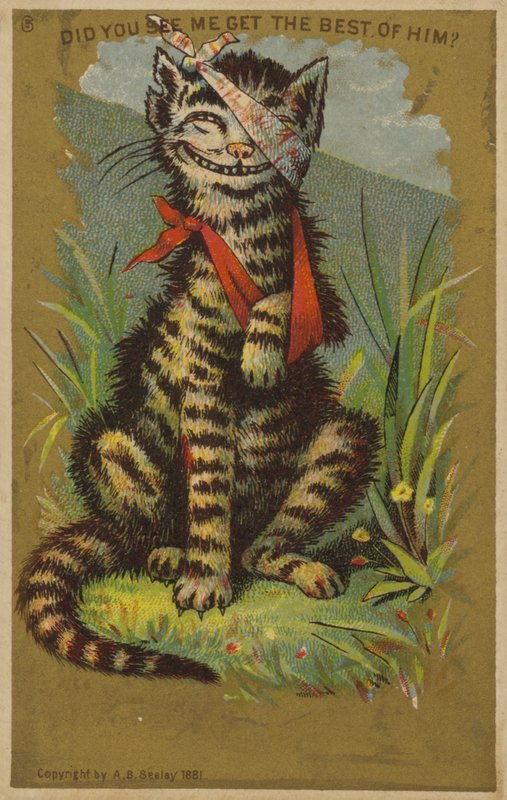 Gato Sonriente con Heridas de American School