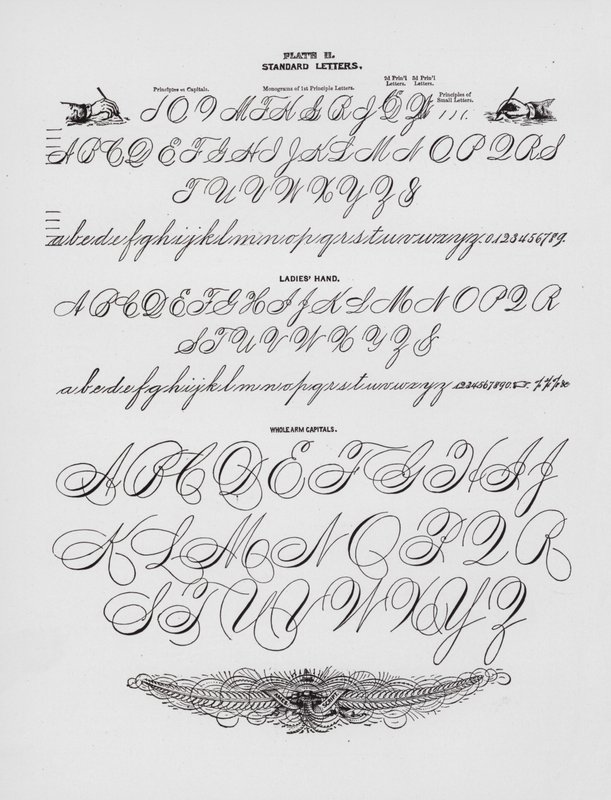 Letras estándar; Mano de dama; Mayúsculas de brazo completo de American School