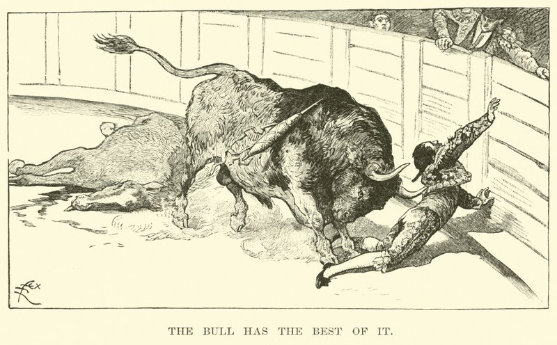 El toro tiene la ventaja de American School