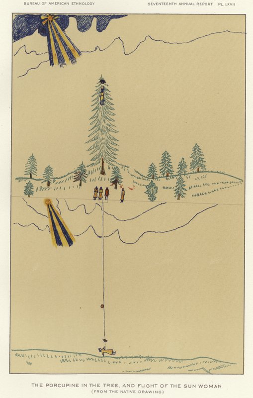 El puercoespín en el árbol y la huida de la mujer sol de American School
