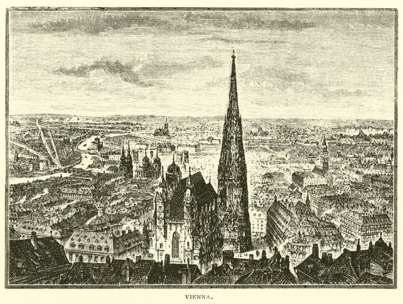 Viena de American School
