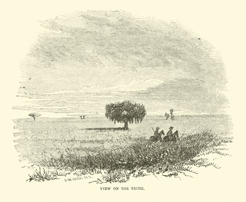Vista en el Teche, abril 1863 de American School