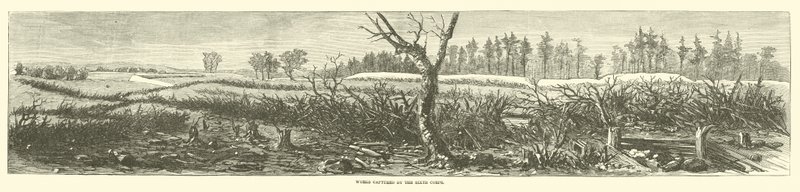 Obras capturadas por el Sexto Cuerpo, abril 1865 de American School