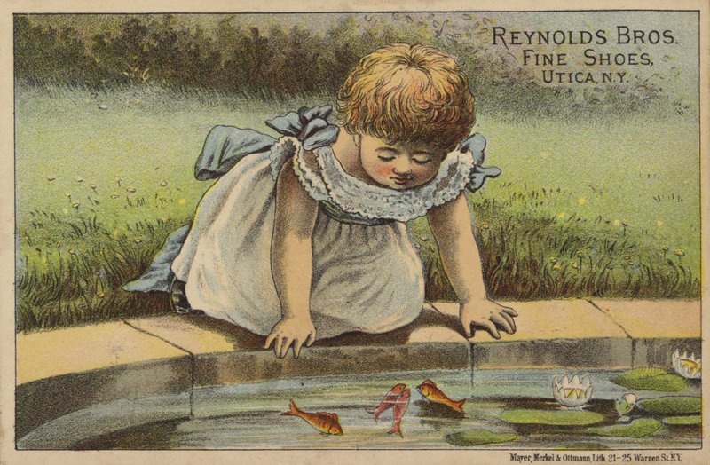 Niña mirando peces en el estanque de American School