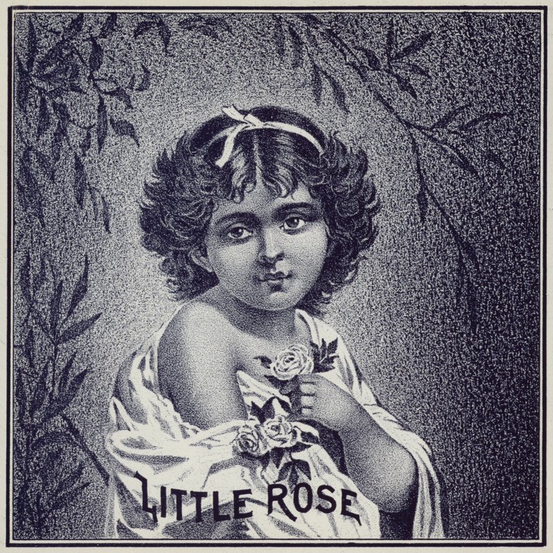 Niña sosteniendo rosas de American School