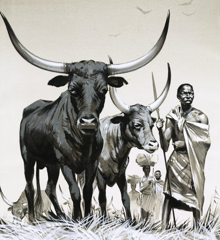 Ganado Ankole de Angus McBride