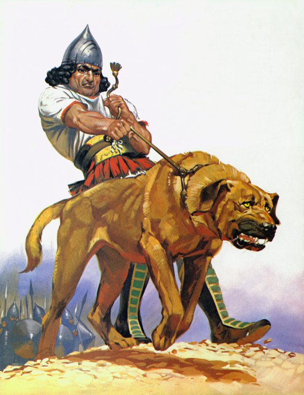 Perro de batalla asirio (litografía en color) de Angus McBride