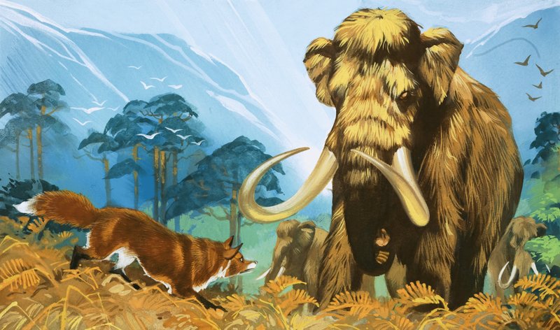 Zorro atacando a mamut de Angus McBride