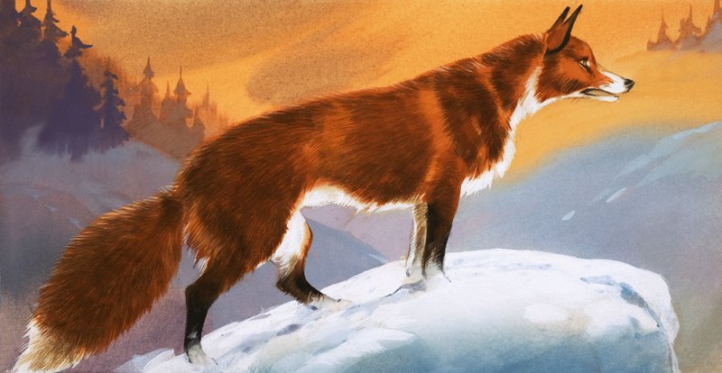 Zorro en la nieve de Angus McBride