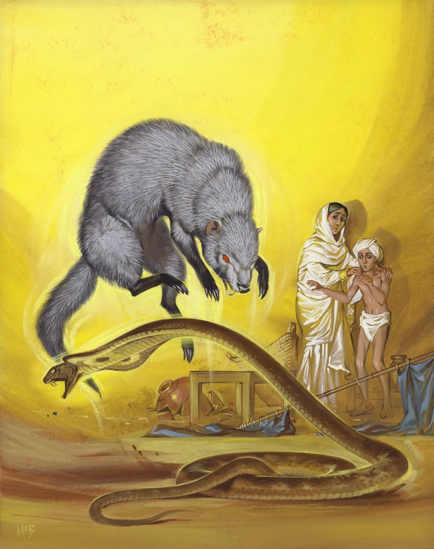 Mangosta matando serpiente en casa india (gouache sobre papel) de Angus McBride