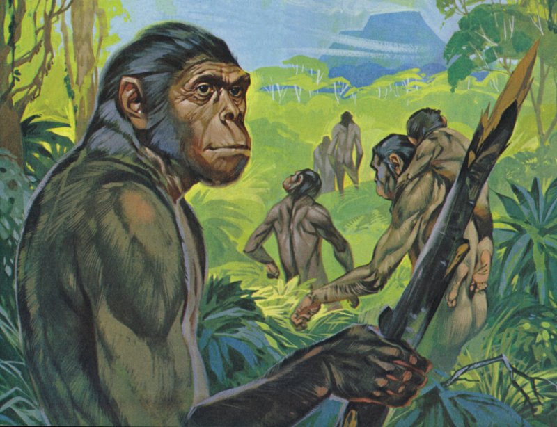 Pithecanthropus (litografía en color) de Angus McBride