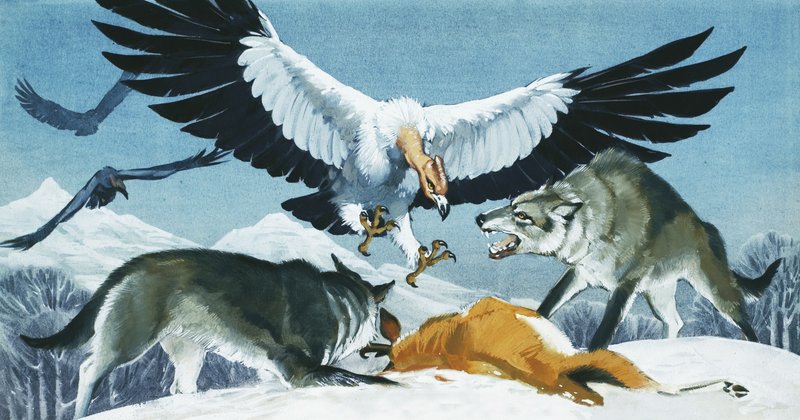 Teratornis de Angus McBride