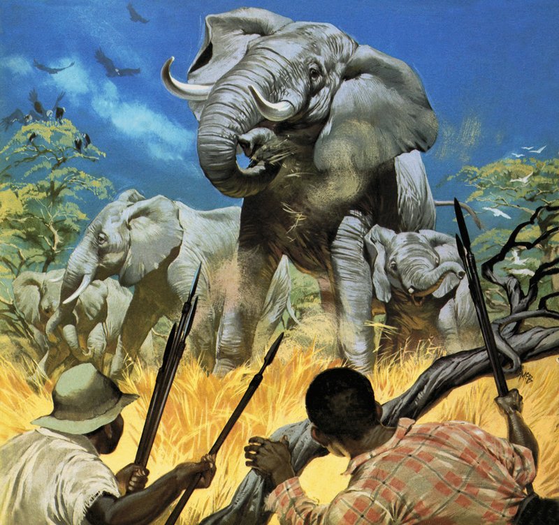 Los cazadores furtivos de marfil -- Fauna salvaje en peligro de Angus McBride