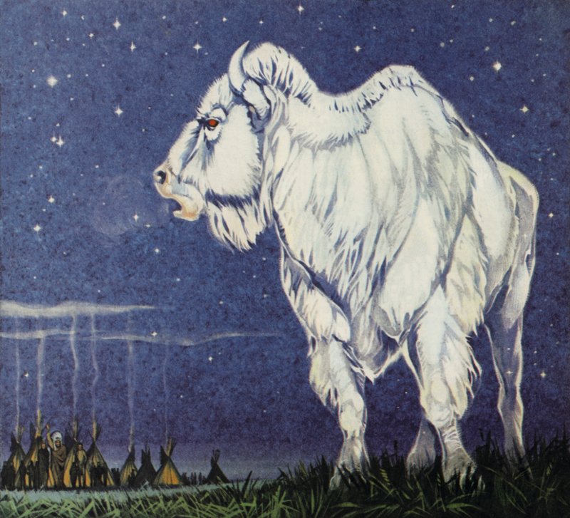 El búfalo blanco (litografía en color) de Angus McBride