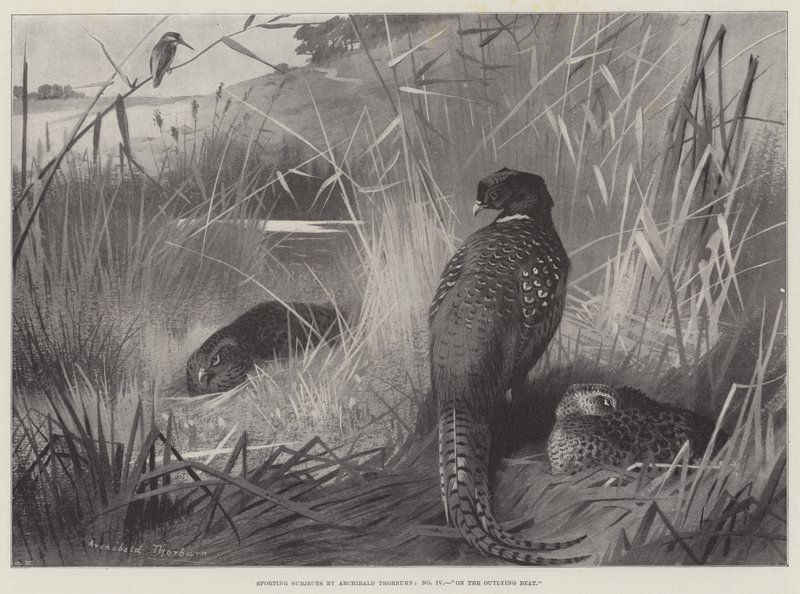Temas deportivos, en el puesto periférico de Archibald Thorburn