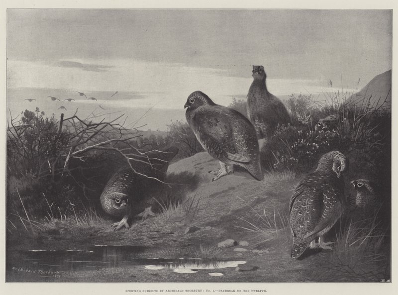 Temas deportivos, amanecer en el duodécimo de Archibald Thorburn