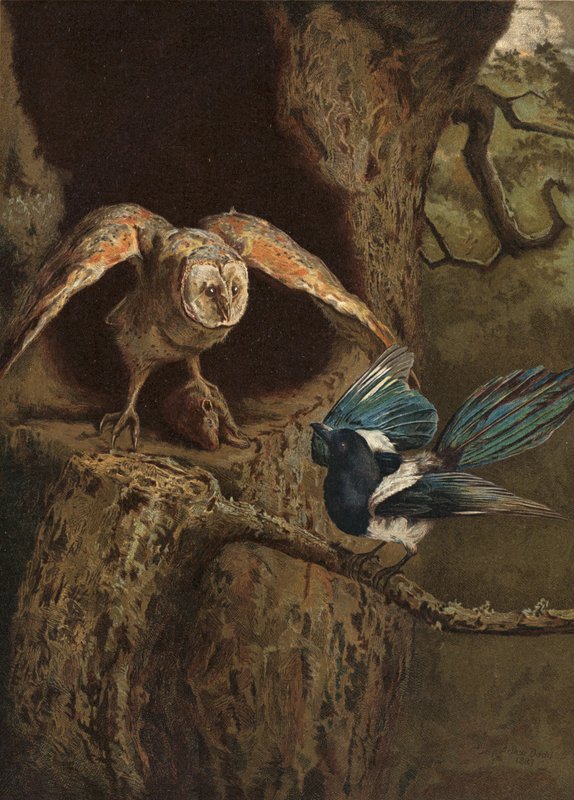 Ingenio y sabiduría de Arthur Charles Dodd