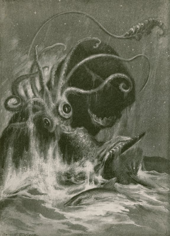 Kraken contra Cachalote de Arthur Twidle