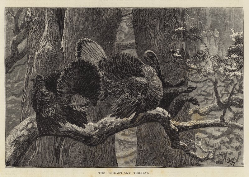 Los pavos triunfantes de Arthur Boyd Houghton