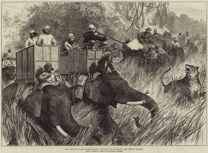 El Príncipe de Gales cazando tigres con Sir Jung Bahadoor, el momento crítico de Arthur Hopkins