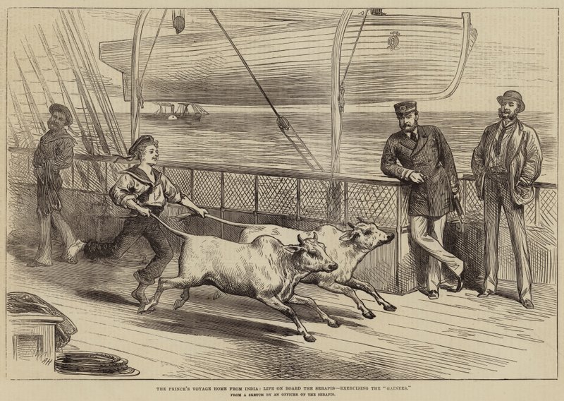 El viaje de regreso del príncipe desde la India, vida a bordo del Serapis, ejercitando a los Gainees de Arthur Hopkins