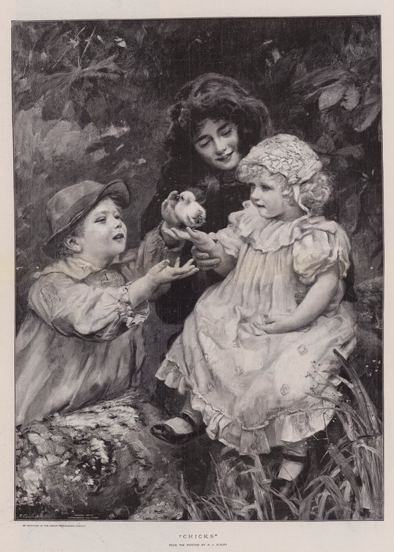 Pollitos (grabado) de Arthur John Elsley