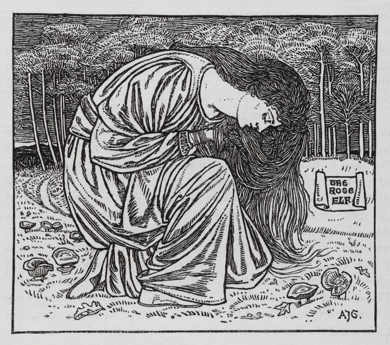 Hans Christian Andersen: El elfo de la rosa de Arthur Joseph Gaskin