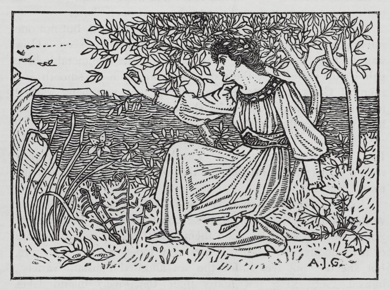 Hans Christian Andersen: Los cisnes salvajes de Arthur Joseph Gaskin