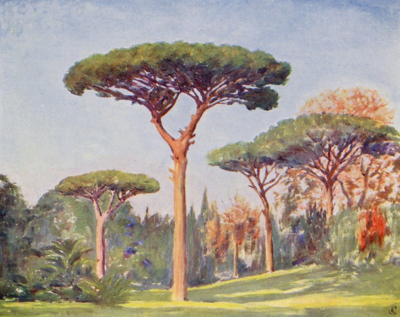 Rock Pines, Villa Floridiana (litografía en color) de Augustine Fitzgerald