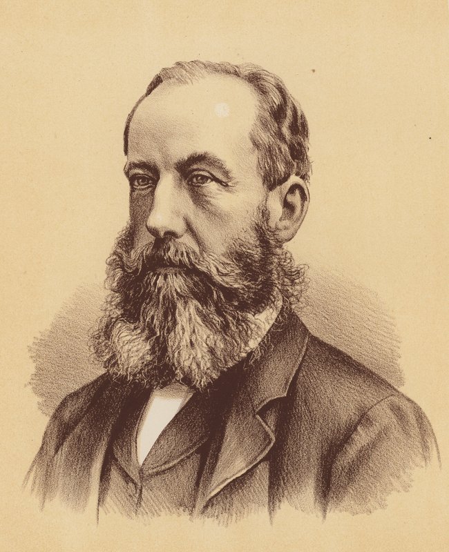 The Honourable Stephen C Brown, Esquire (litografía en color) de Australian School