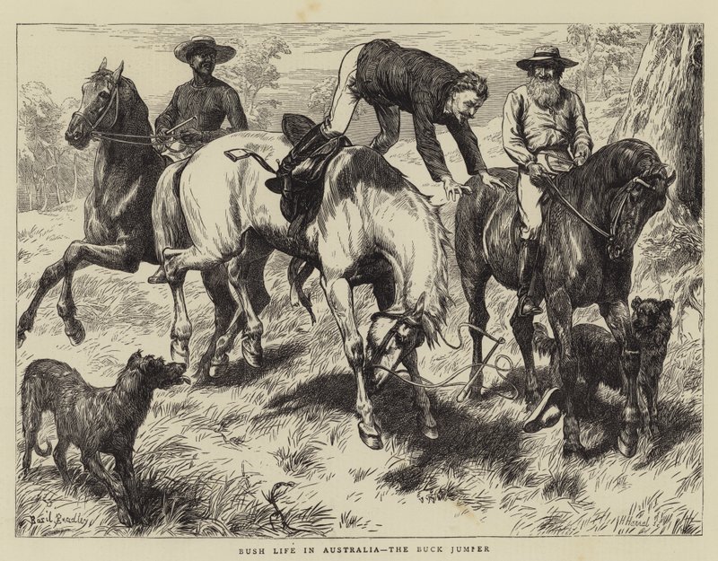 Vida en el Campo en Australia, el Buck Jumper de Basil Bradley