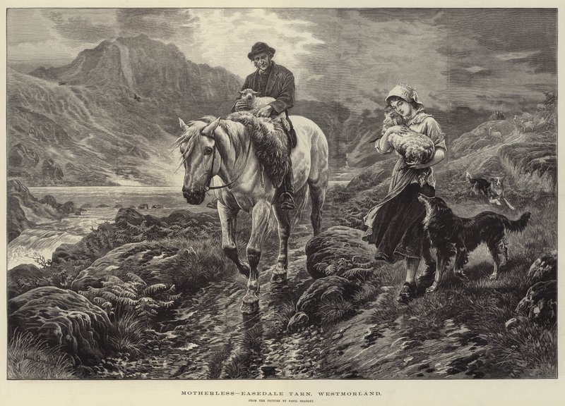 Huérfana, Easedale Tarn, Westmorland de Basil Bradley