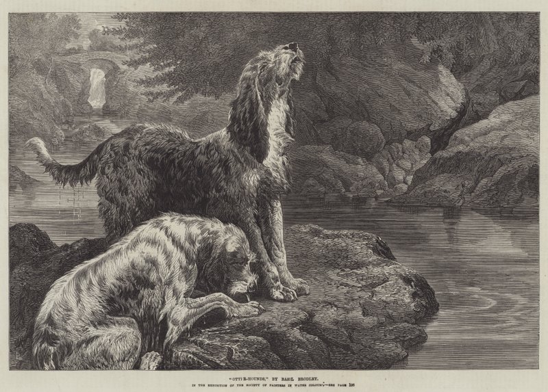 Perros de nutria de Basil Bradley