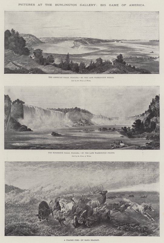 Cuadros en la Galería Burlington, Gran Caza de América de Basil Bradley