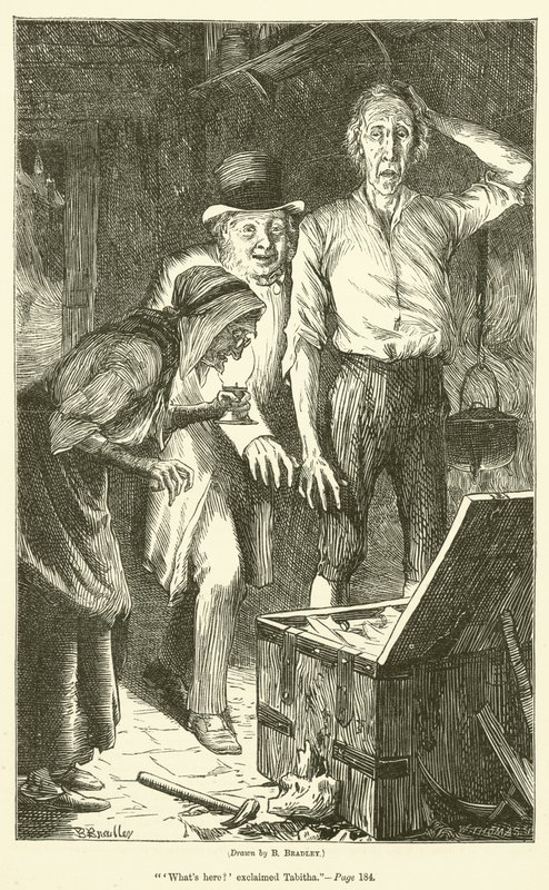 El tesoro de Peter Goldthwaite de Basil Bradley