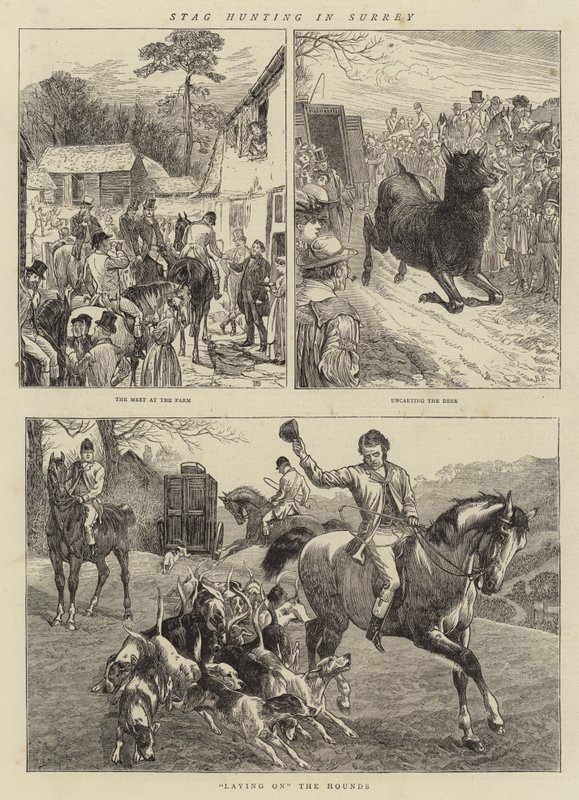 Caza de ciervos en Surrey de Basil Bradley