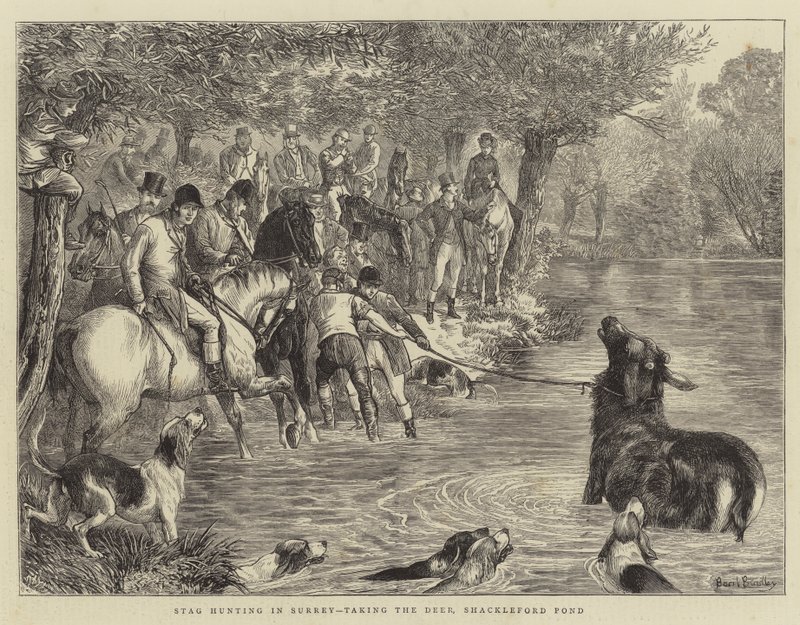 Caza de Ciervos en Surrey, capturando al Ciervo, Estanque de Shackleford de Basil Bradley