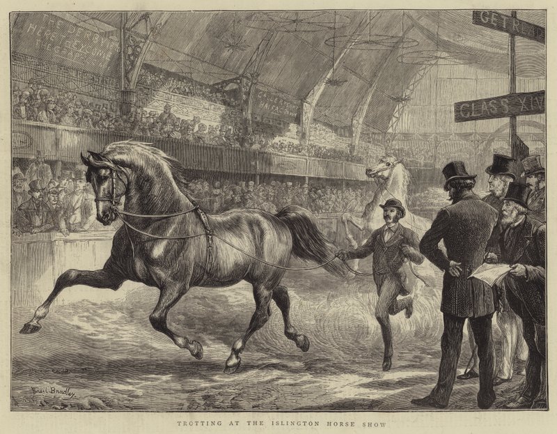 Trote en el espectáculo ecuestre de Islington de Basil Bradley