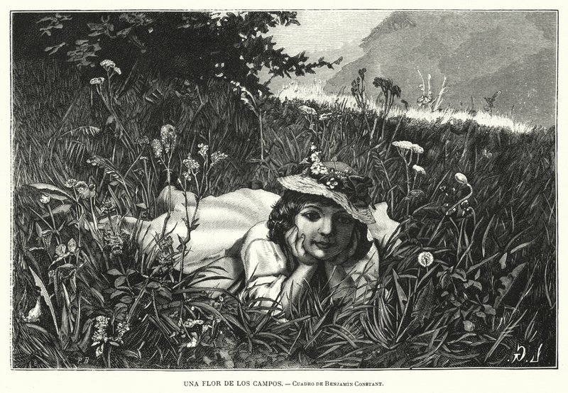Una Flor del Campo de Benjamin  Constant