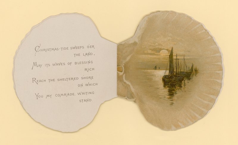 Ilustración para folleto titulado Conchas marinas de Benjamin D. Sigmund